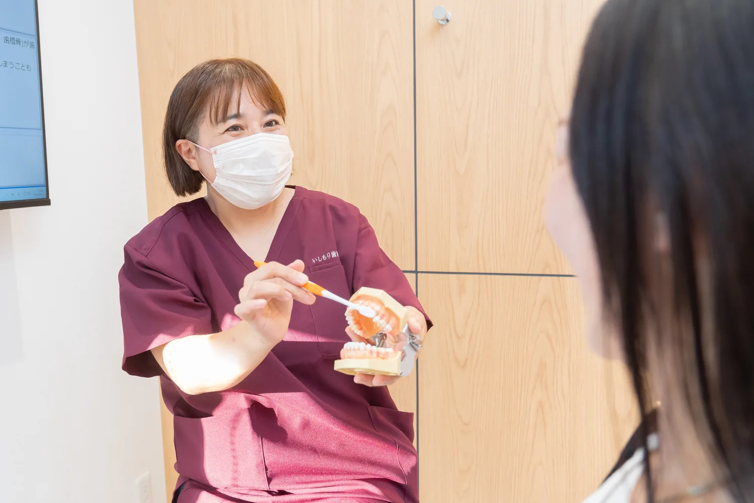 模型を使った歯みがきのご説明